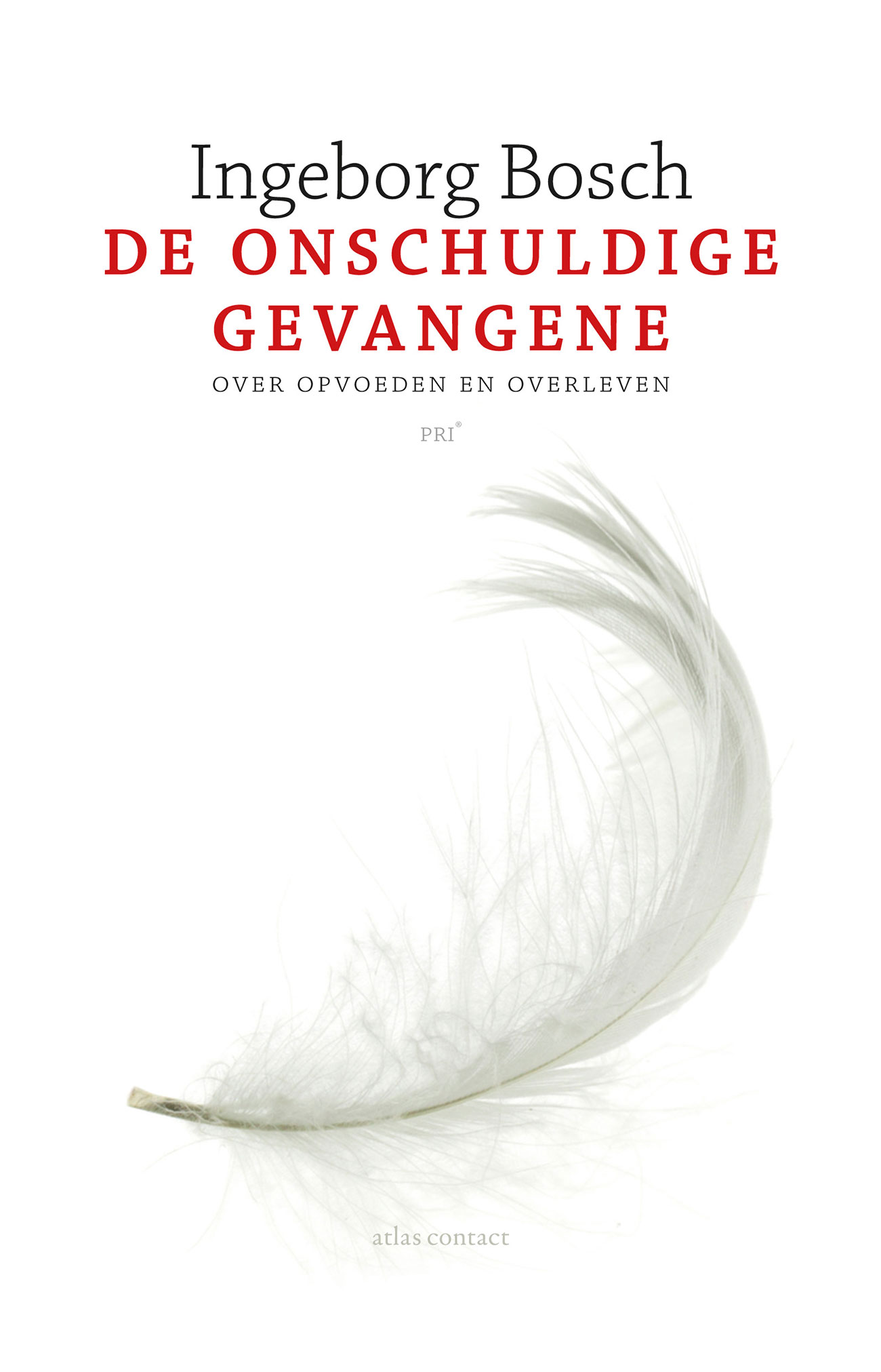 boek-de-onschuldige-gevangene
