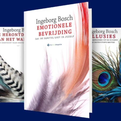 Boek Illusies - Past Reality Integration - PRI